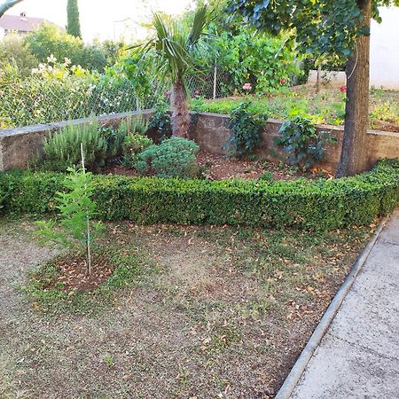 Apartment With Private Garden And The Terrace Ev Station Available Crikvenica Dış mekan fotoğraf