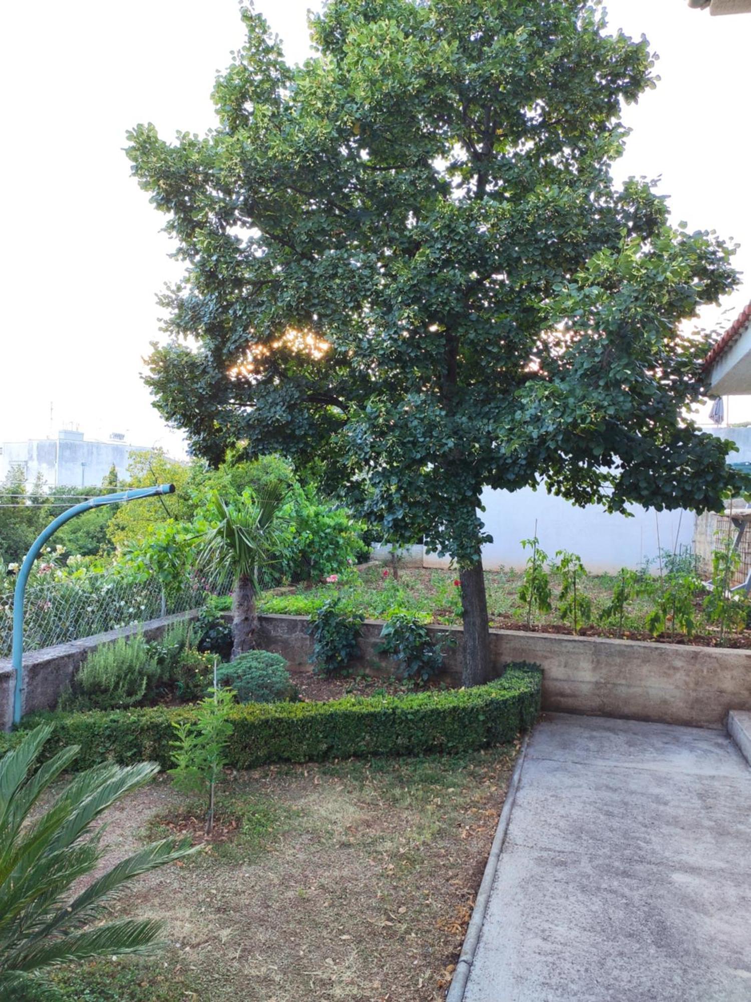 Apartment With Private Garden And The Terrace Ev Station Available Crikvenica Dış mekan fotoğraf