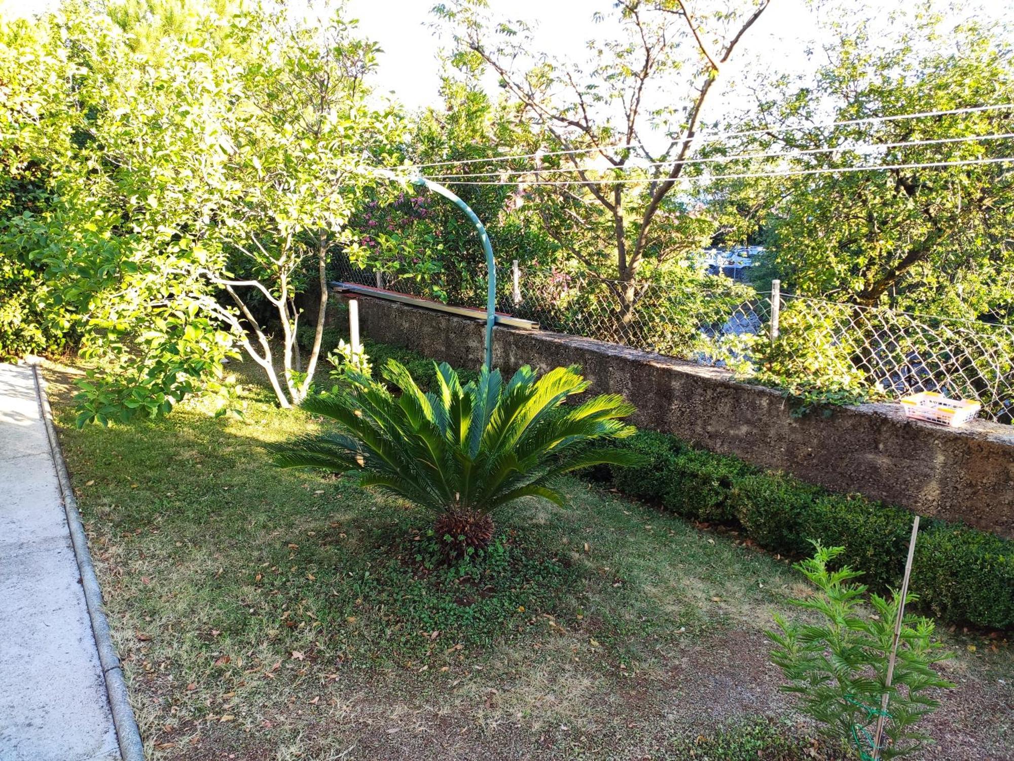Apartment With Private Garden And The Terrace Ev Station Available Crikvenica Dış mekan fotoğraf