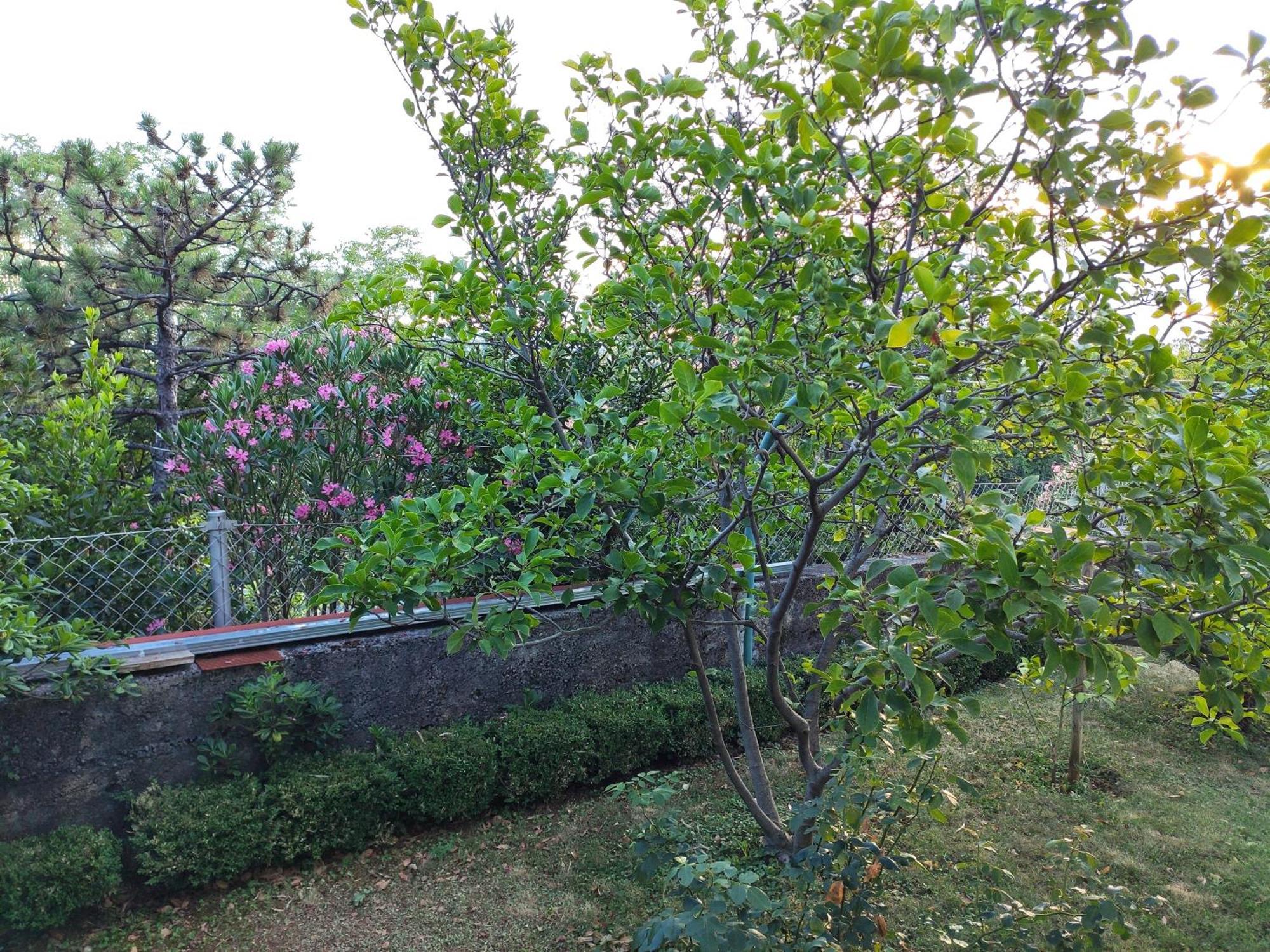 Apartment With Private Garden And The Terrace Ev Station Available Crikvenica Dış mekan fotoğraf