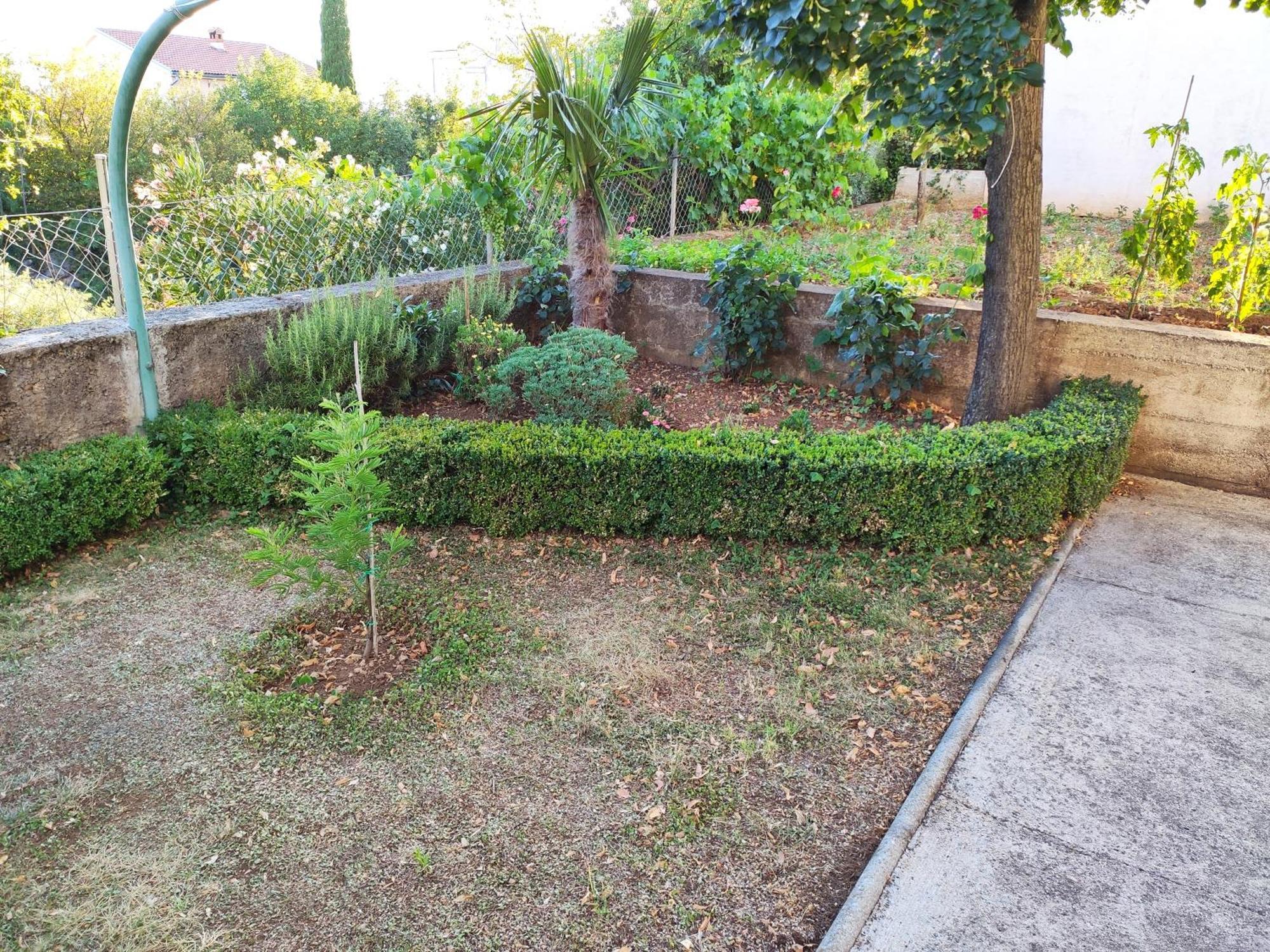 Apartment With Private Garden And The Terrace Ev Station Available Crikvenica Dış mekan fotoğraf